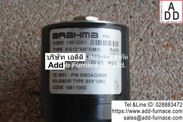 Brahma Type EG12*SR*GMO (10)